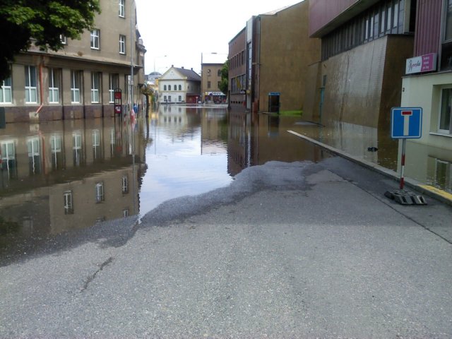 photo42.jpg